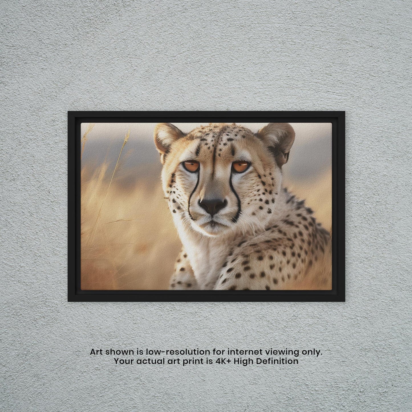 Cheetah - Artistic Photography Print