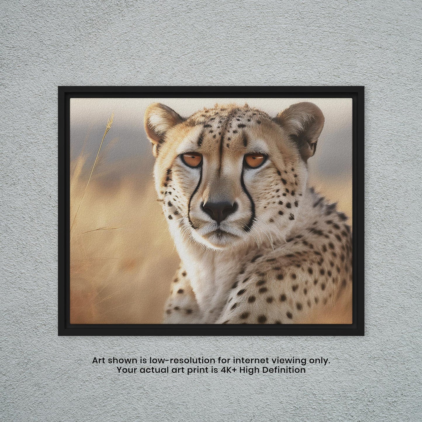Cheetah - Artistic Photography Print
