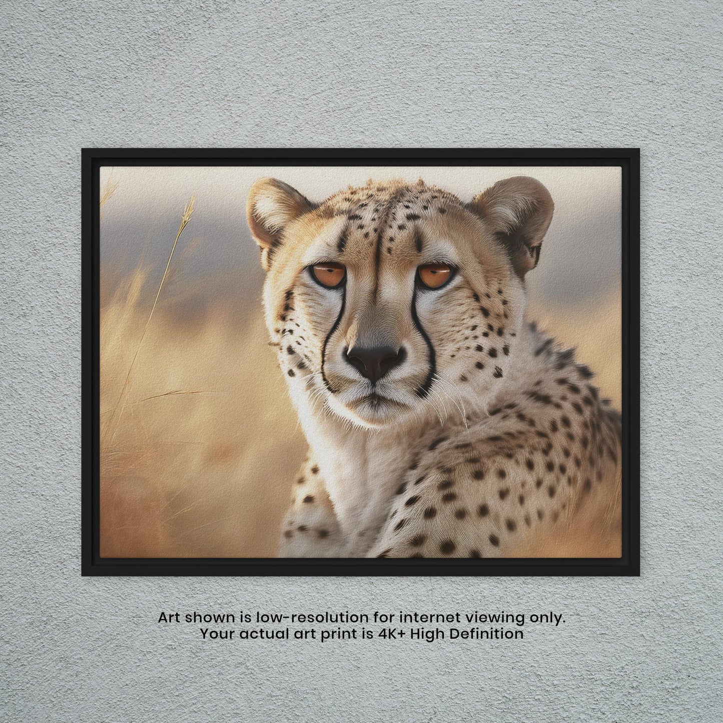 Cheetah - Artistic Photography Print