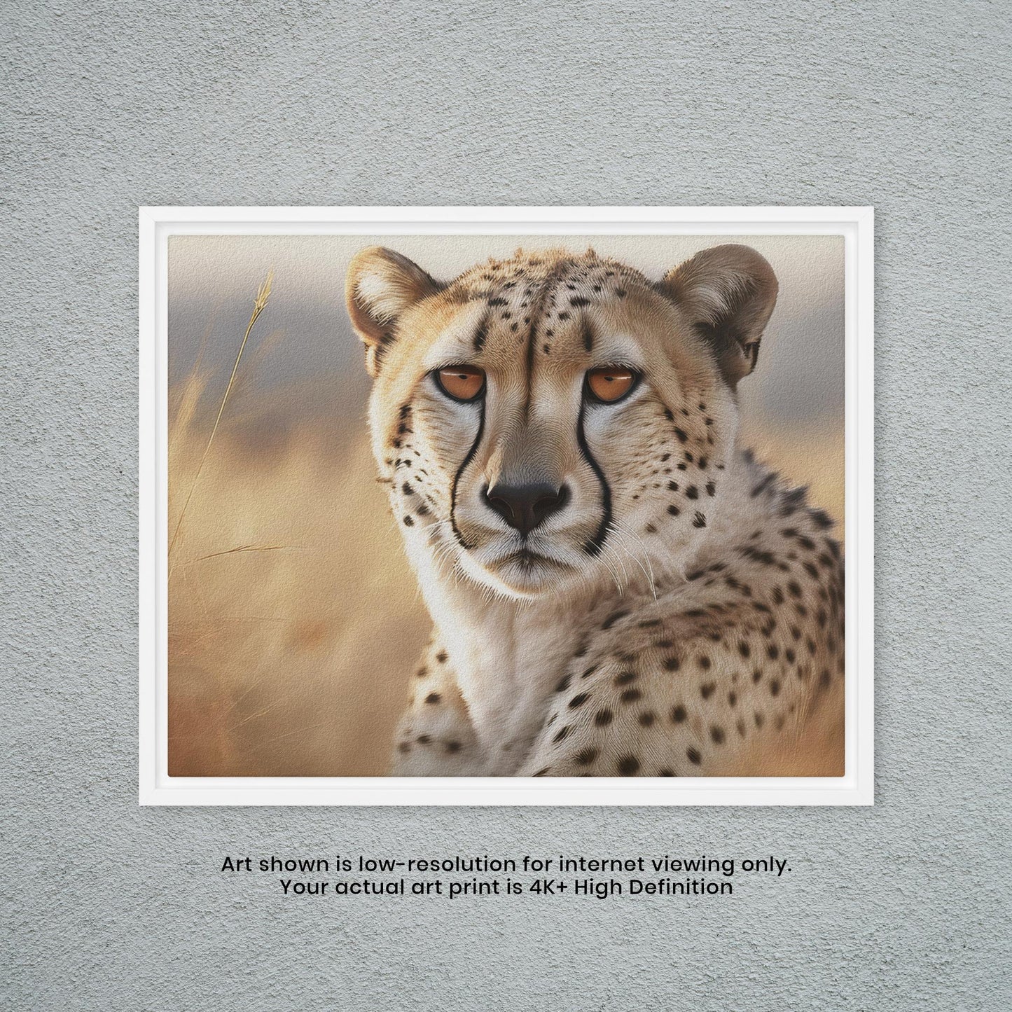 Cheetah - Artistic Photography Print