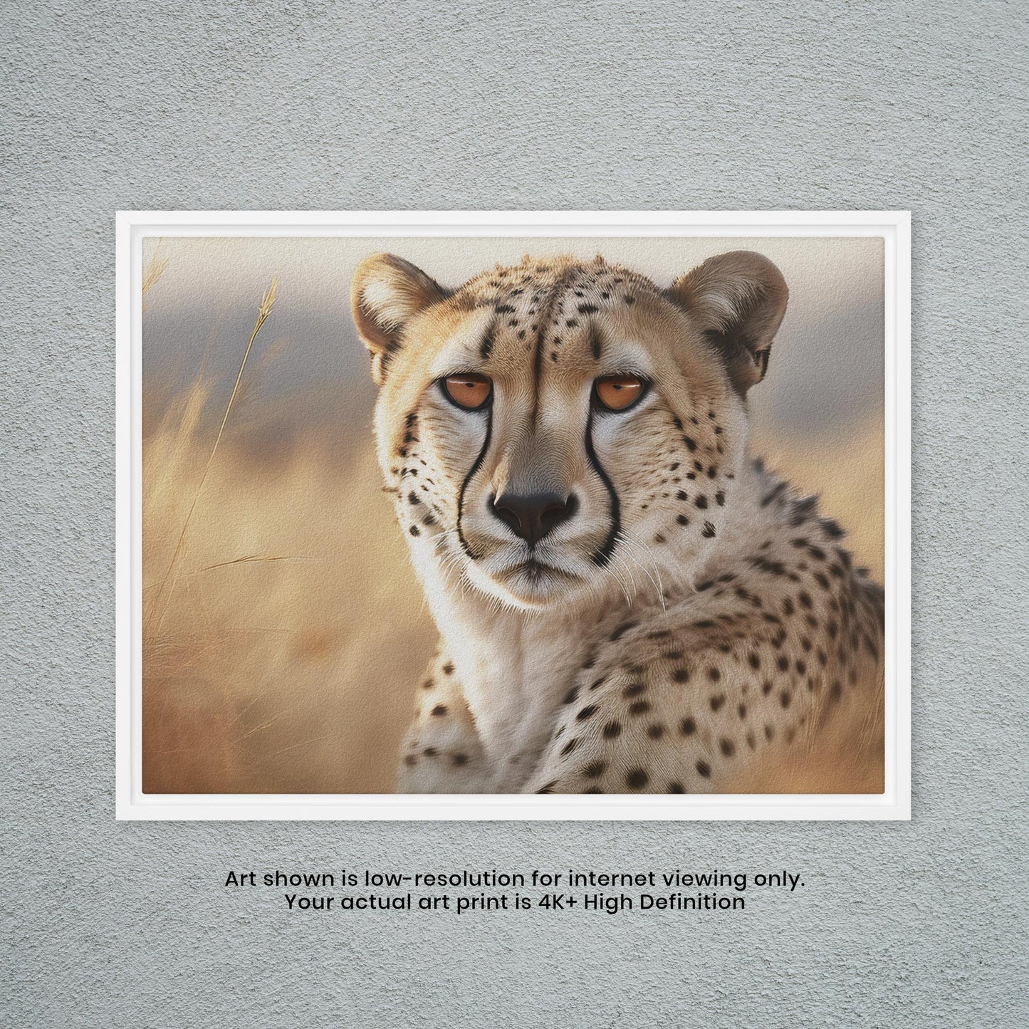 Cheetah - Artistic Photography Print